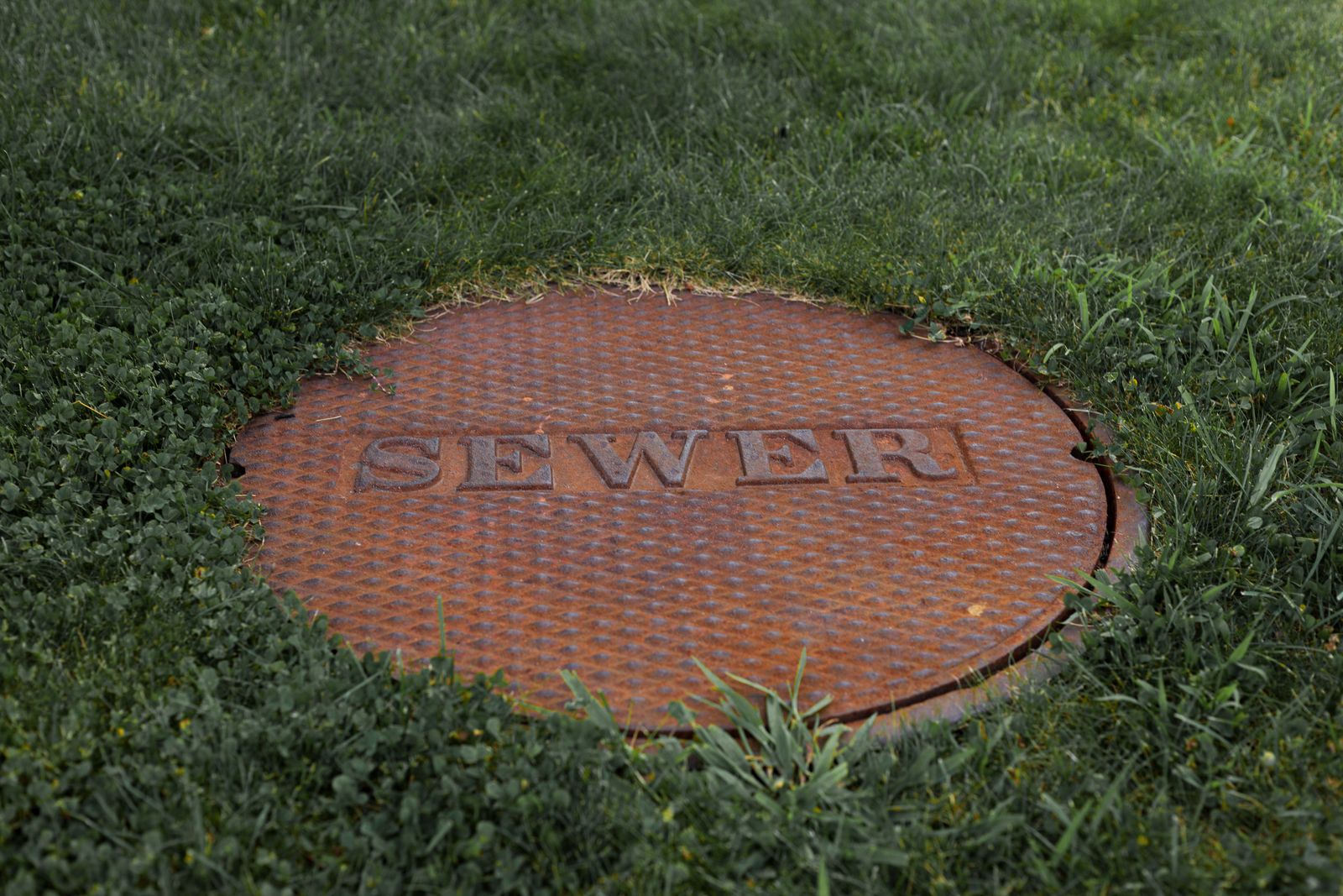 Round metal access cover set in grass, similar to a septic tank lid an operator would open for a pump-out